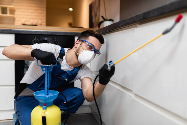 Best Wasp Removal Services  in Niagara Falls, NY