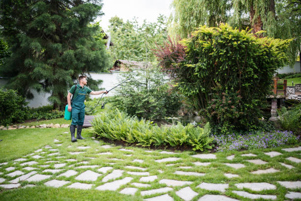 Best Pest Prevention Services  in Niagara Falls, NY