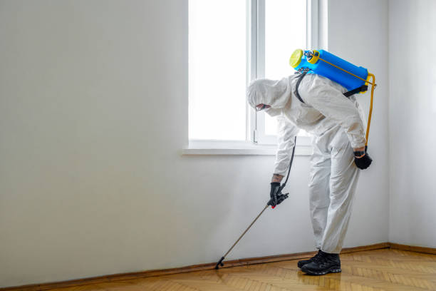 Best Insect Control  in Niagara Falls, NY