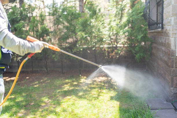 Best Local Pest Control Services  in Niagara Falls, NY