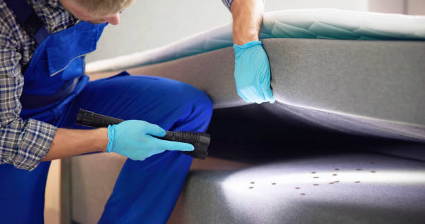 Best Pest Control Near Me in Niagara Falls, NY