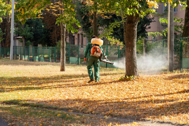 Best Commercial Pest Control Services  in Niagara Falls, NY