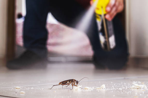 Best Bed Bug Extermination  in Niagara Falls, NY