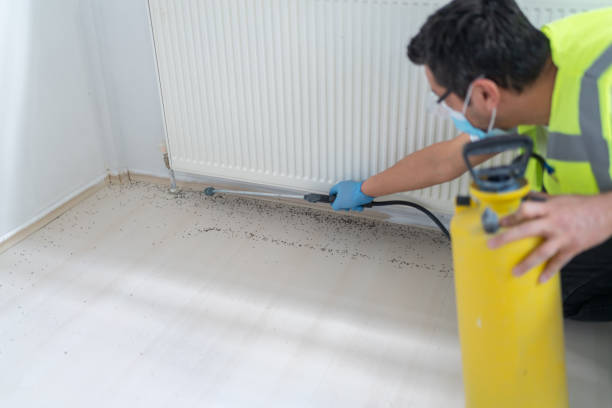 Best Residential Pest Control  in Niagara Falls, NY