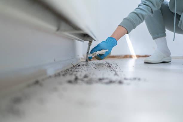 Best Local Pest Control Services  in Niagara Falls, NY